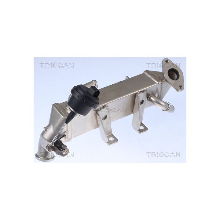 Aušintuvas, išmetamųjų dujų recirkuliacija TRISCAN 8813 25104