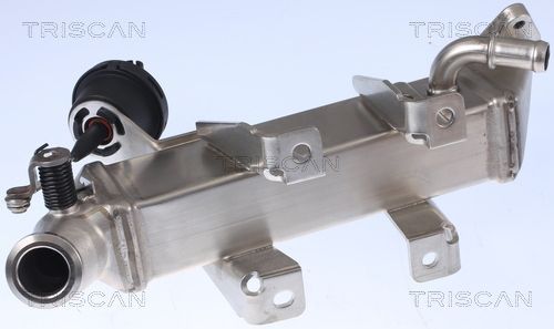 Aušintuvas, išmetamųjų dujų recirkuliacija TRISCAN 8813 25104