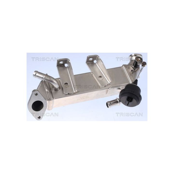Aušintuvas, išmetamųjų dujų recirkuliacija TRISCAN 8813 25104