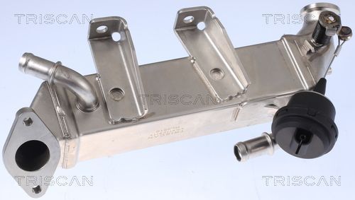 Aušintuvas, išmetamųjų dujų recirkuliacija TRISCAN 8813 25104