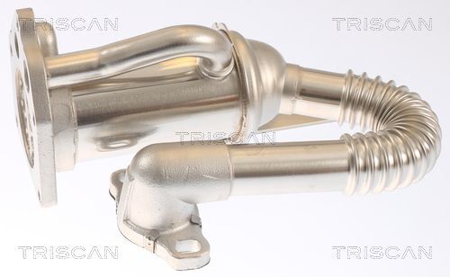 Aušintuvas, išmetamųjų dujų recirkuliacija TRISCAN 8813 25105