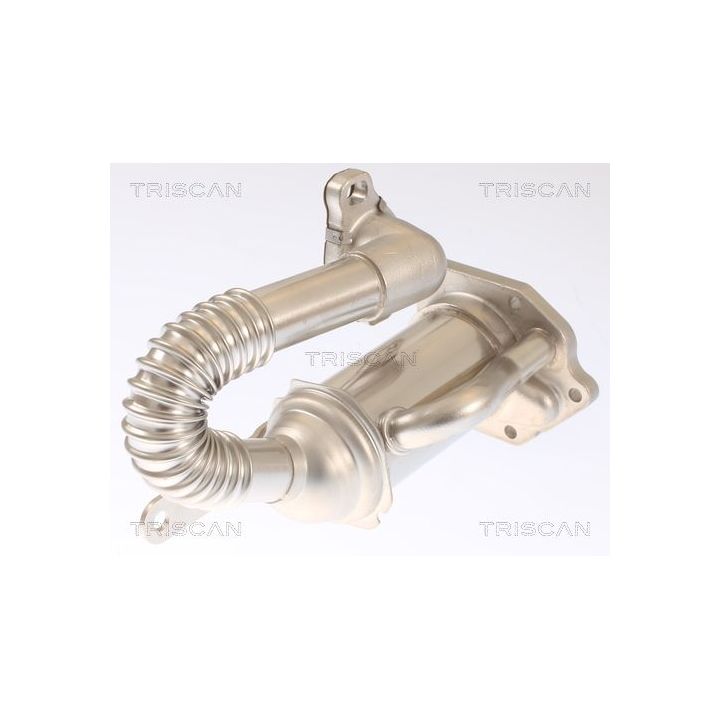 Aušintuvas, išmetamųjų dujų recirkuliacija TRISCAN 8813 25105