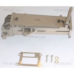 Aušintuvas, išmetamųjų dujų recirkuliacija TRISCAN 8813 27104