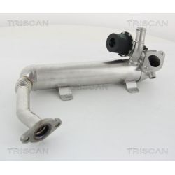 Aušintuvas, išmetamųjų dujų recirkuliacija TRISCAN 8813 29319