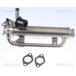 Aušintuvas, išmetamųjų dujų recirkuliacija TRISCAN 8813 29320
