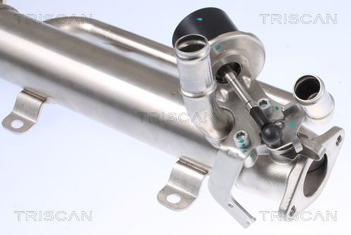 Aušintuvas, išmetamųjų dujų recirkuliacija TRISCAN 8813 29320