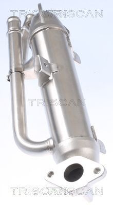Aušintuvas, išmetamųjų dujų recirkuliacija TRISCAN 8813 29324