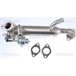 Aušintuvas, išmetamųjų dujų recirkuliacija TRISCAN 8813 29326
