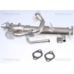 Aušintuvas, išmetamųjų dujų recirkuliacija TRISCAN 8813 29329