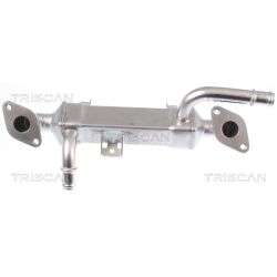 Aušintuvas, išmetamųjų dujų recirkuliacija TRISCAN 8813 29334