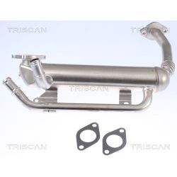 Aušintuvas, išmetamųjų dujų recirkuliacija TRISCAN 8813 29335