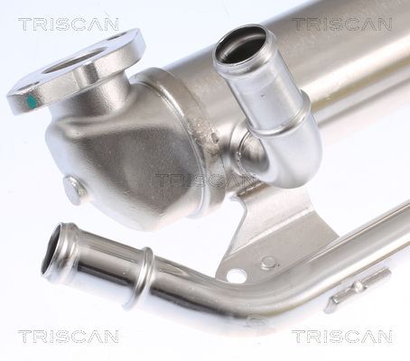 Aušintuvas, išmetamųjų dujų recirkuliacija TRISCAN 8813 29335