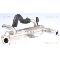 Aušintuvas, išmetamųjų dujų recirkuliacija TRISCAN 8813 43101