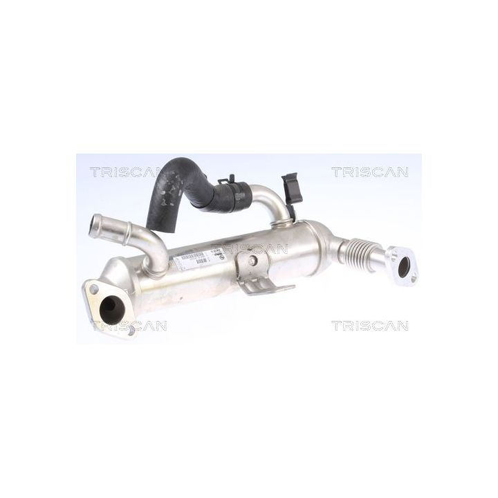 Aušintuvas, išmetamųjų dujų recirkuliacija TRISCAN 8813 43101