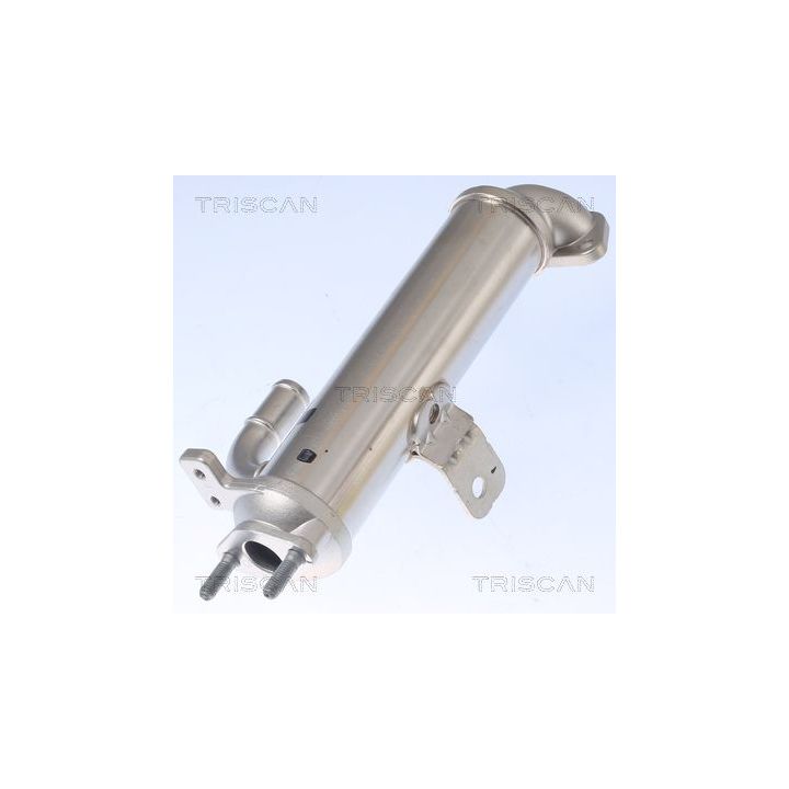 Aušintuvas, išmetamųjų dujų recirkuliacija TRISCAN 8813 43102