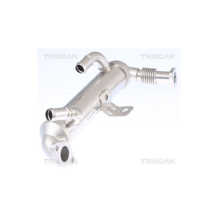 Aušintuvas, išmetamųjų dujų recirkuliacija TRISCAN 8813 43103