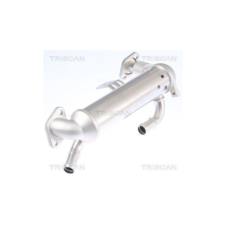 Aušintuvas, išmetamųjų dujų recirkuliacija TRISCAN 8813 43103
