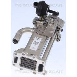 Aušintuvas, išmetamųjų dujų recirkuliacija TRISCAN 8813 43104