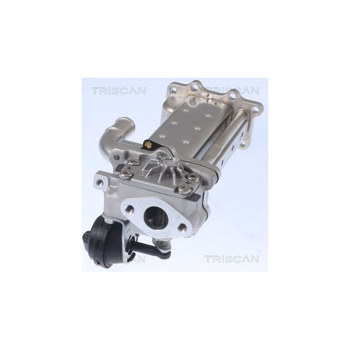 Aušintuvas, išmetamųjų dujų recirkuliacija TRISCAN 8813 43104