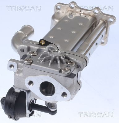 Aušintuvas, išmetamųjų dujų recirkuliacija TRISCAN 8813 43104