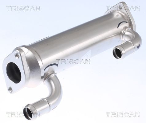 Aušintuvas, išmetamųjų dujų recirkuliacija TRISCAN 8813 43105