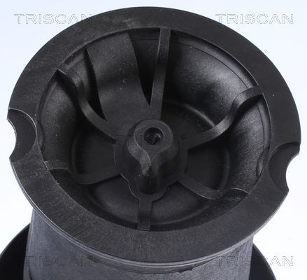 Pneumatinė spyruoklė, pakaba TRISCAN 8720 38201