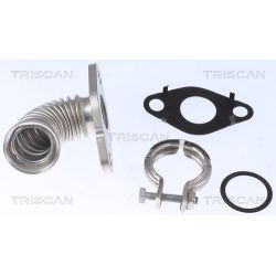 Vamzdis, EGR vožtuvas TRISCAN 8811 16000