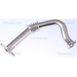 Vamzdis, EGR vožtuvas TRISCAN 8811 29110