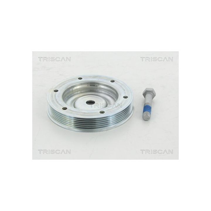 Alkūninio veleno skriemulių rinkinys TRISCAN 8643 10006a