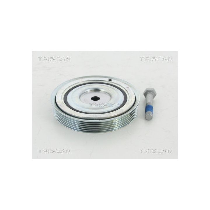 Alkūninio veleno skriemulių rinkinys TRISCAN 8643 10006a