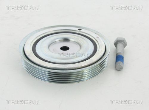 Alkūninio veleno skriemulių rinkinys TRISCAN 8643 10006a