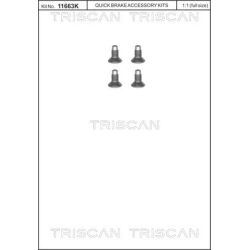 Varžtų komplektas, stabdžių diskas TRISCAN 8105 116004