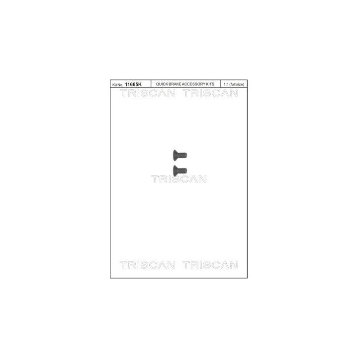 Varžtų komplektas, stabdžių diskas TRISCAN 8105 116006
