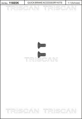 Varžtų komplektas, stabdžių diskas TRISCAN 8105 116006