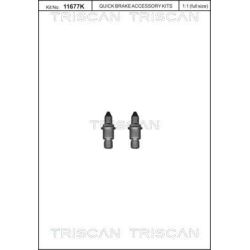 Varžtų komplektas, stabdžių diskas TRISCAN 8105 116018