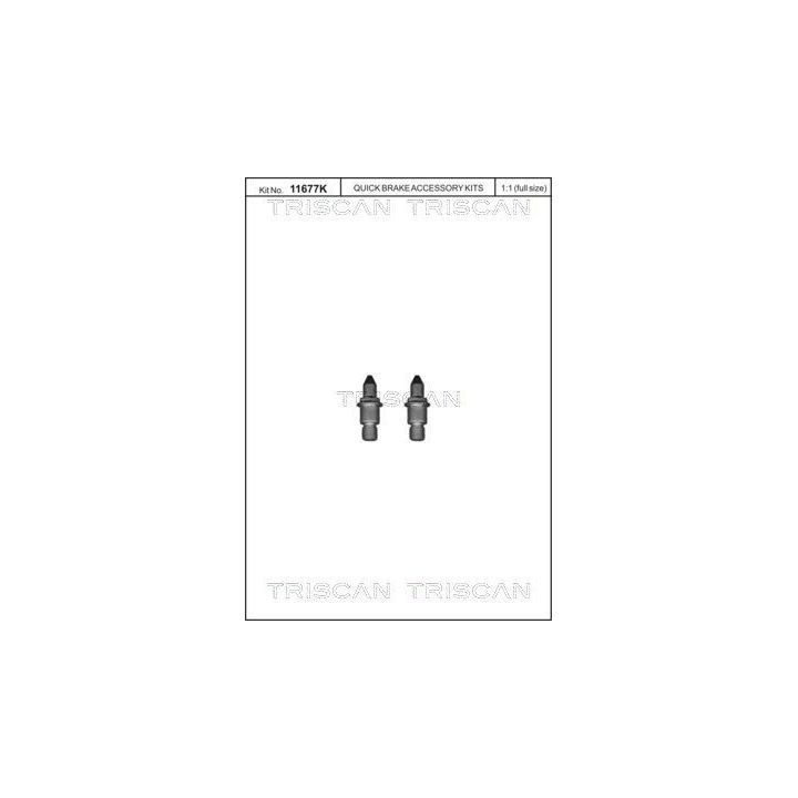 Varžtų komplektas, stabdžių diskas TRISCAN 8105 116018