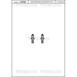 Varžtų komplektas, stabdžių diskas TRISCAN 8105 116019