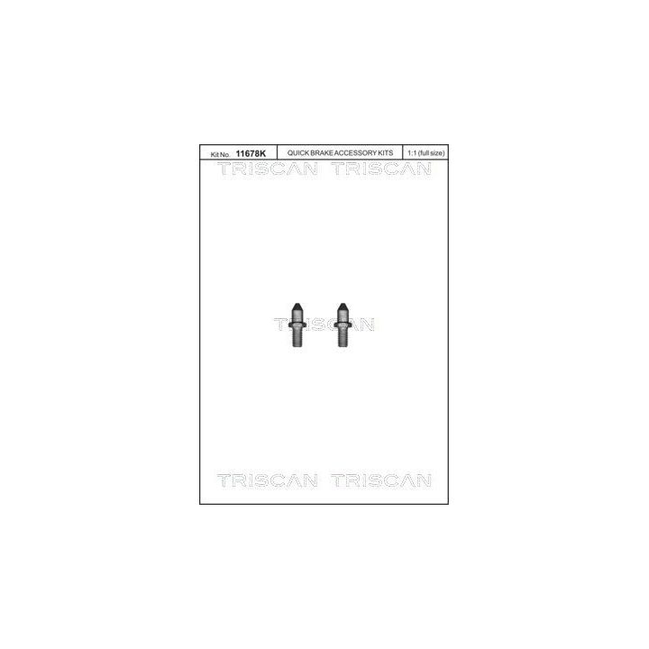 Varžtų komplektas, stabdžių diskas TRISCAN 8105 116019