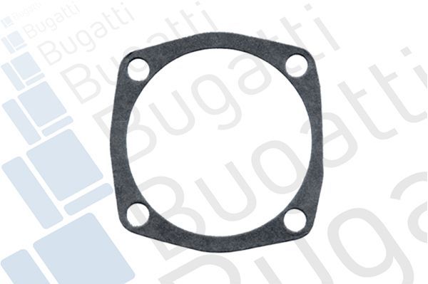 Vandens siurblys, variklio aušinimas BUGATTI PA0011S