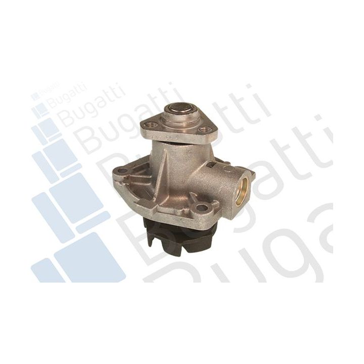 Vandens siurblys, variklio aušinimas BUGATTI PA0018