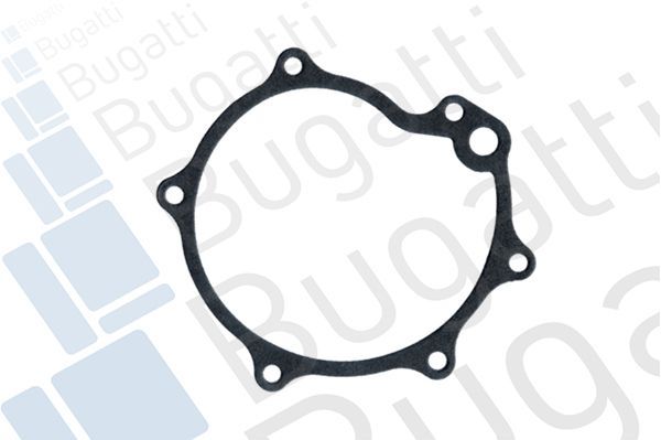 Vandens siurblys, variklio aušinimas BUGATTI PA0093