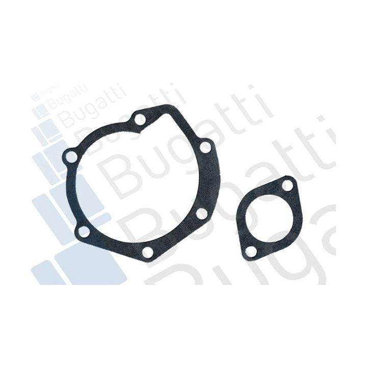 Vandens siurblys, variklio aušinimas BUGATTI PA0195