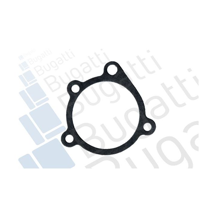 Vandens siurblys, variklio aušinimas BUGATTI PA0226