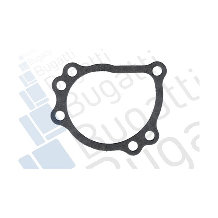 Vandens siurblys, variklio aušinimas BUGATTI PA0257