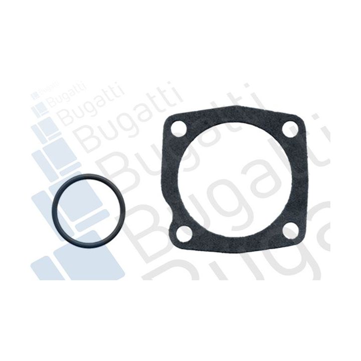 Vandens siurblys, variklio aušinimas BUGATTI PA0507