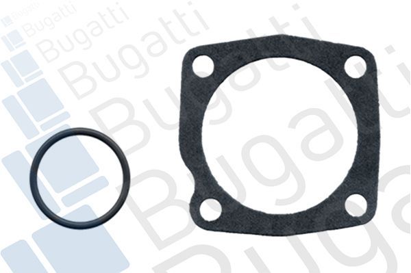 Vandens siurblys, variklio aušinimas BUGATTI PA0507