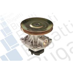 Vandens siurblys, variklio aušinimas BUGATTI PA0510S