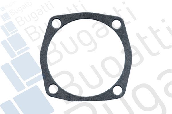 Vandens siurblys, variklio aušinimas BUGATTI PA0510S