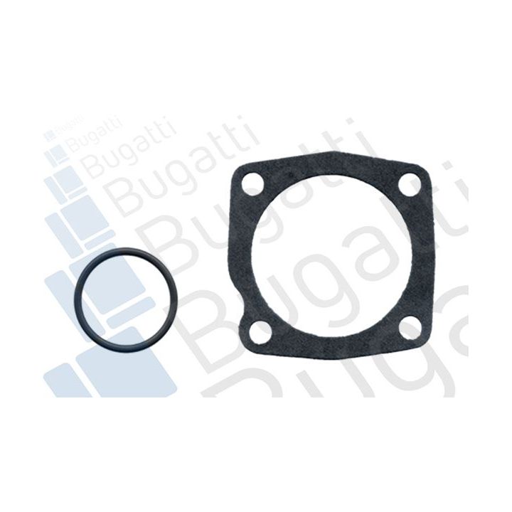 Vandens siurblys, variklio aušinimas BUGATTI PA0515