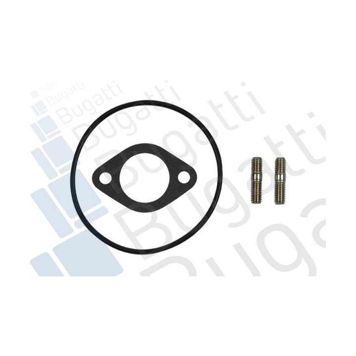 Vandens siurblys, variklio aušinimas BUGATTI PA10008